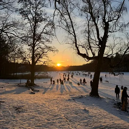Apartment Am Kudamm Mit Dachterrasse, Pool Und Sauna Berlin