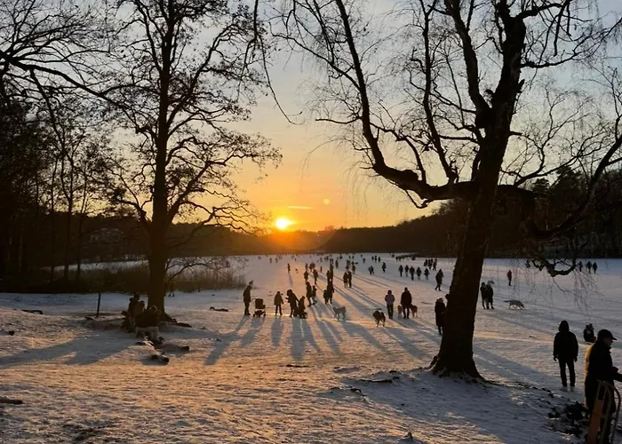 Apartman Am Kudamm Mit Dachterrasse, Pool Und Sauna Berlin